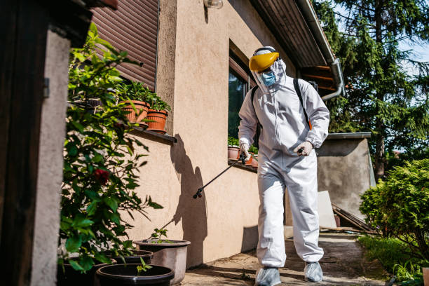 Best Commercial Pest Control Services  in Germantown Hls, IL