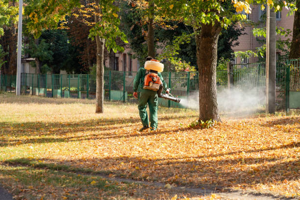 Best Pest Control Near Me  in Germantown Hls, IL